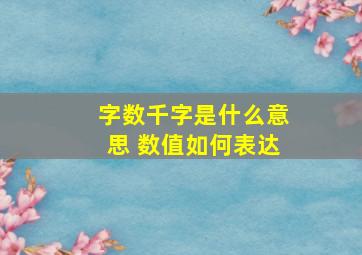 字数千字是什么意思 数值如何表达